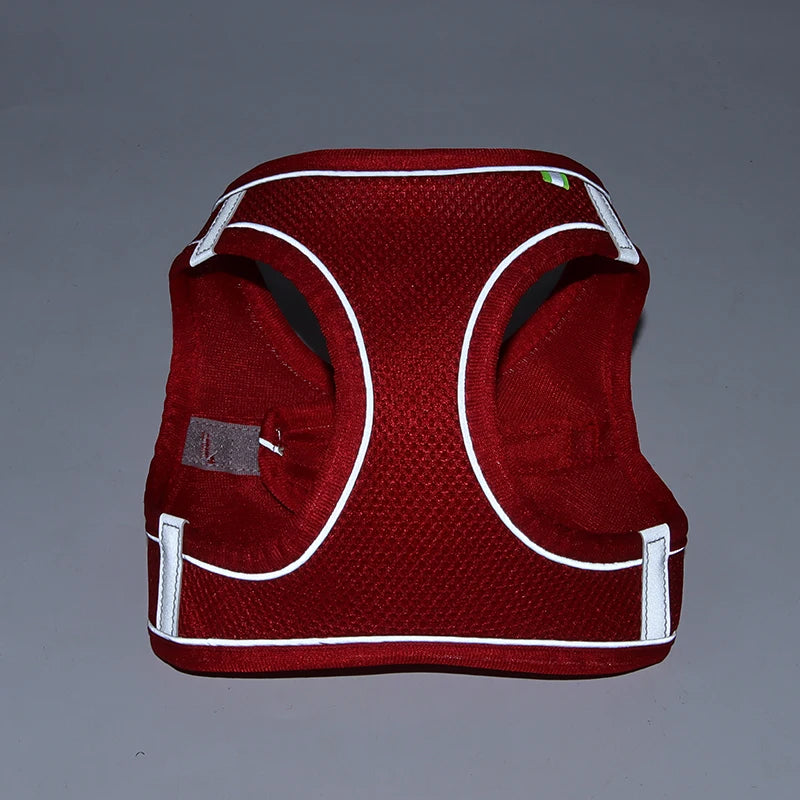 Lightweight Harness and Leash Set