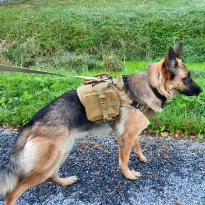 Tactical Harness And Leash Set - CAMO