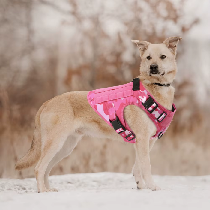 Tactical Harness And Leash Set - PINK CAMO