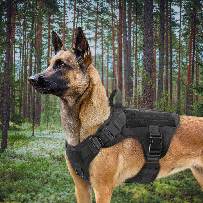 Tactical Harness And Leash Set - BLACK